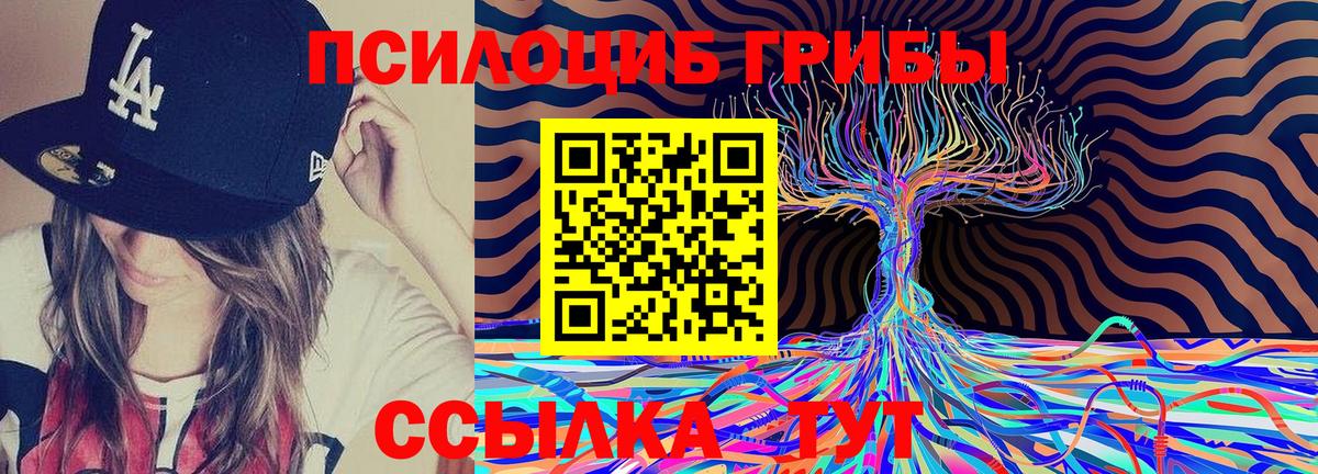 Галлюциногенные грибы Psilocybe Всеволожск