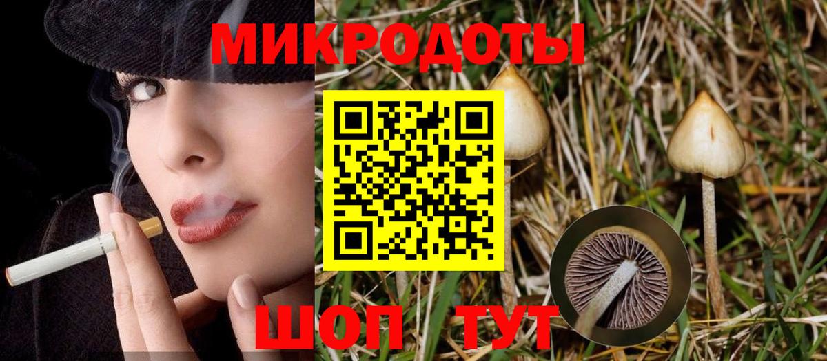 как найти закладки  Вход с VPN  Всеволожск  Псилоцибиновые грибы прущие грибы 